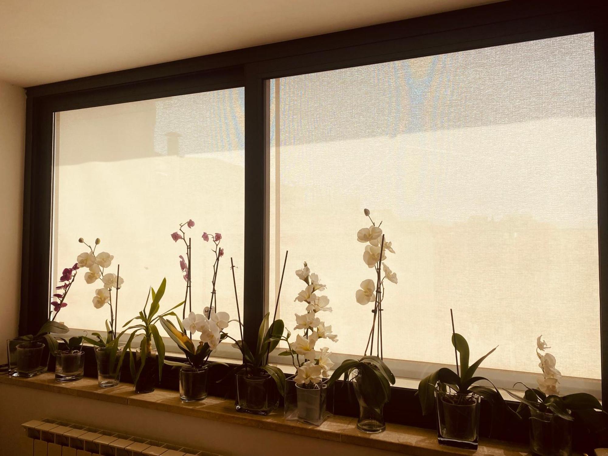 La Casa Di Dani Apartamento